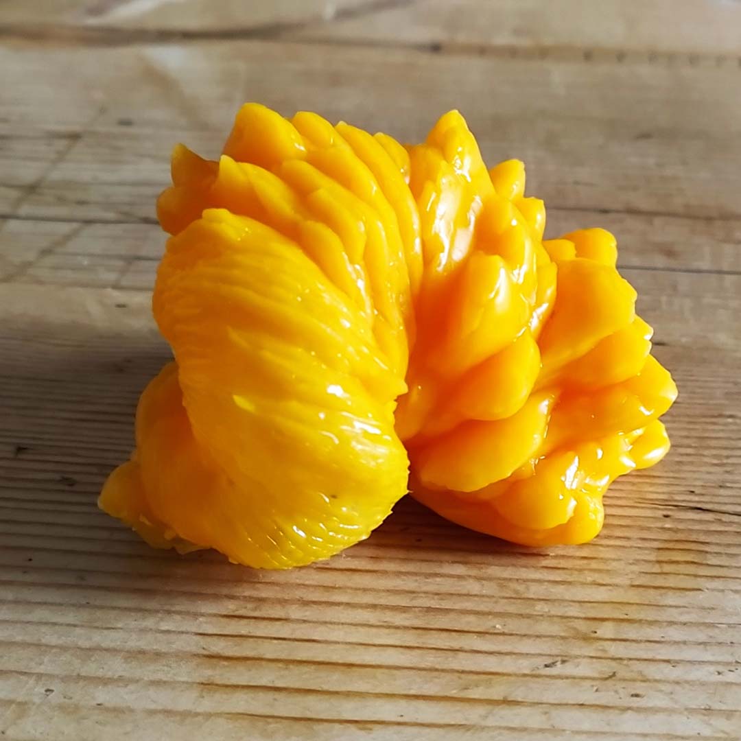 Geschmolzener-Bienenwachs